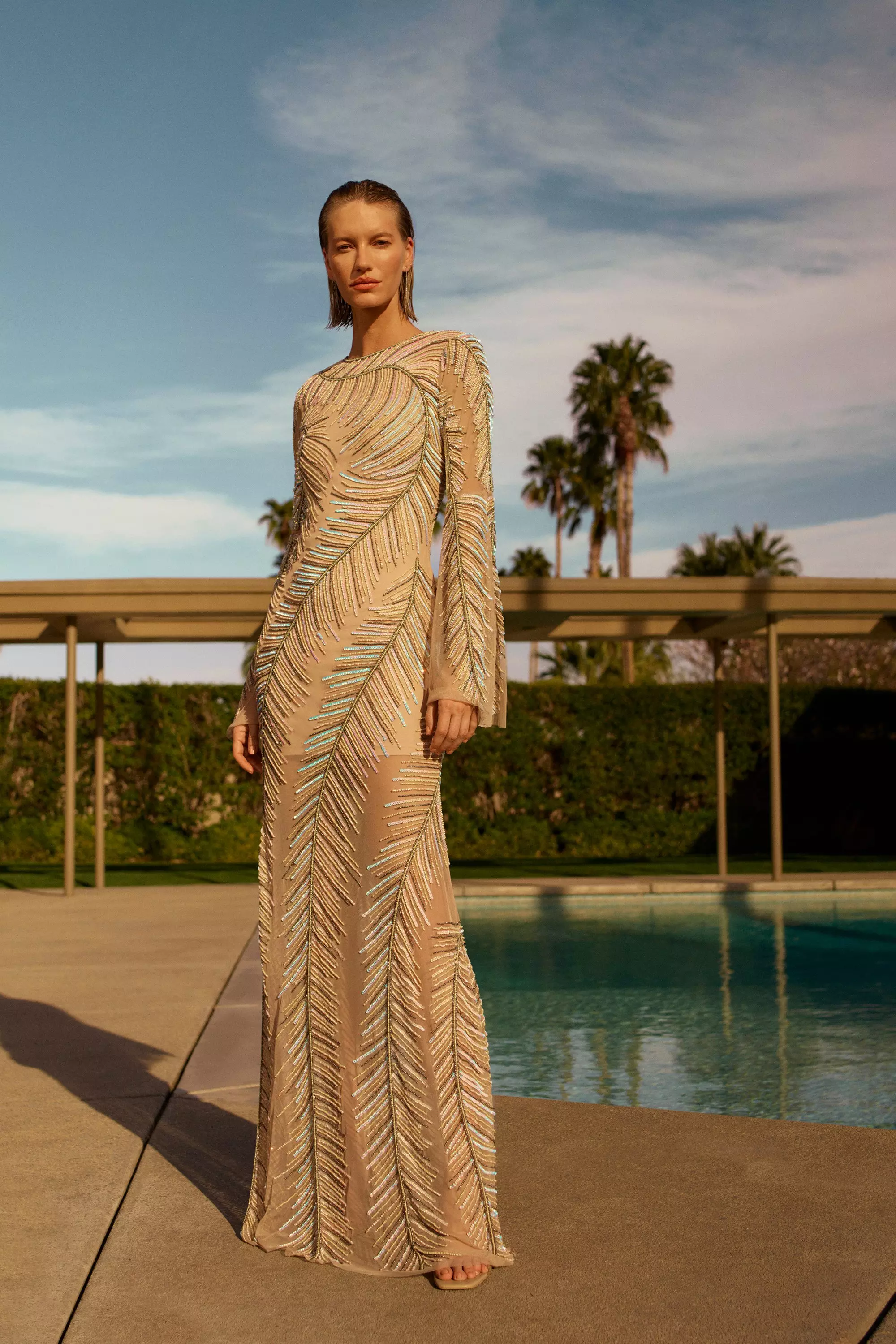 Long sleeve store embellished maxi dress